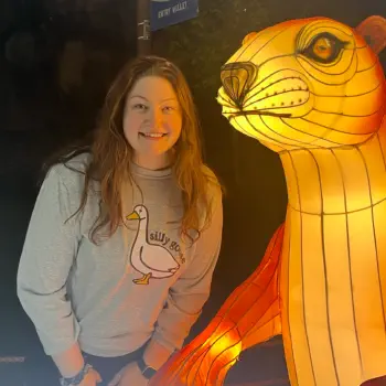 Morgan Kingma profile picture